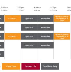 Sample Schedule UK