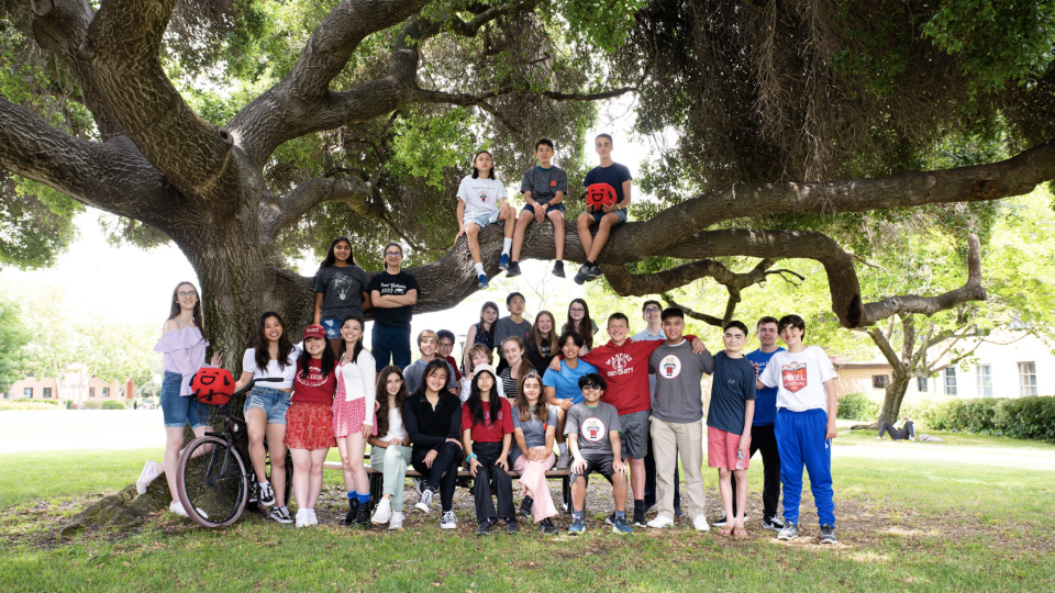 Student Life Tree